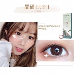 Muriel Eye Lush 紅珊瑚 Magic Brown